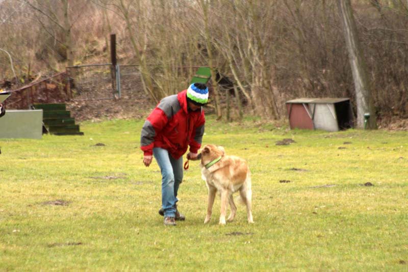 20150301-Ka-IMG6649-NZB-Negro-Lobo