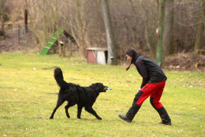 20150301-Ka-IMG6751-NZB-Negro-Lobo