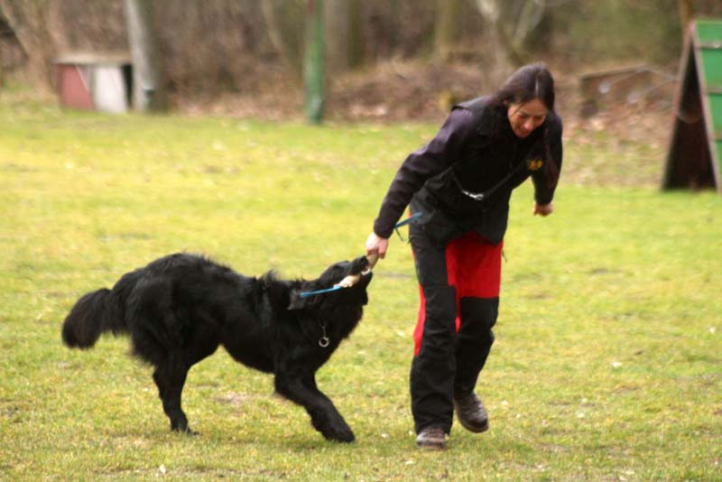 20150301-Ka-IMG6752-NZB-Negro-Lobo