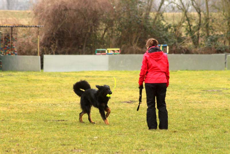 20150301-Ka-IMG6782-NZB-Negro-Lobo